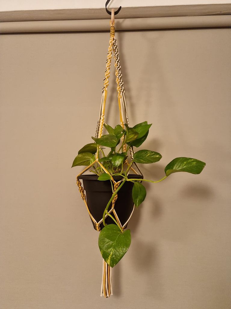 Two-tone Plant Hanger